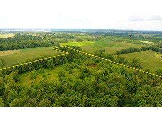 TRACT 47 - ILLINOIS LAND AUCTION - 4,810+/- ACRES OFFERED IN 85 TRACTS IN FRANKLIN, WILLIAMSON, HAMILTON & SALINE COUNTIES, ILLINOIS